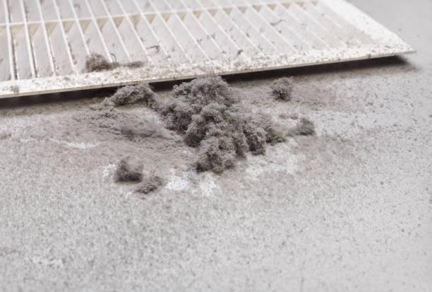 Best HVAC Maintenance and Cleaning  in Long View, NC