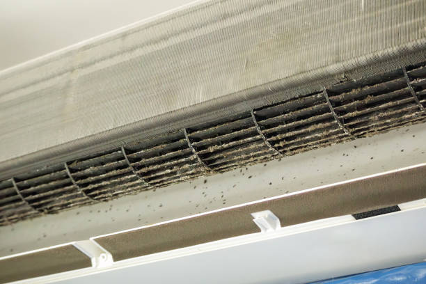 Best Commercial HVAC Duct Cleaning  in Long View, NC